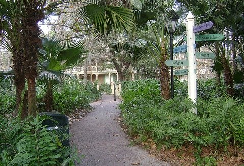 Port Orleans Riverside Alligator Bayou by Best of WDW